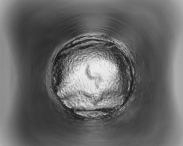 X0000099580337200805301603