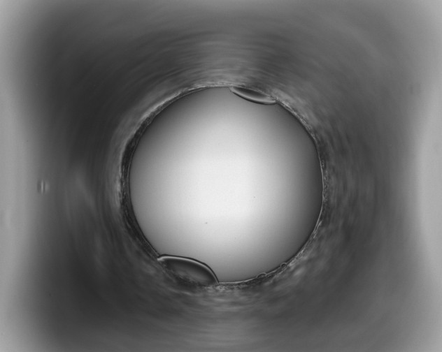 X0000099580338200805301603