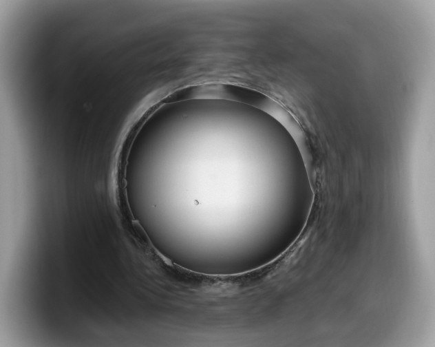 X0000099580340200805301603