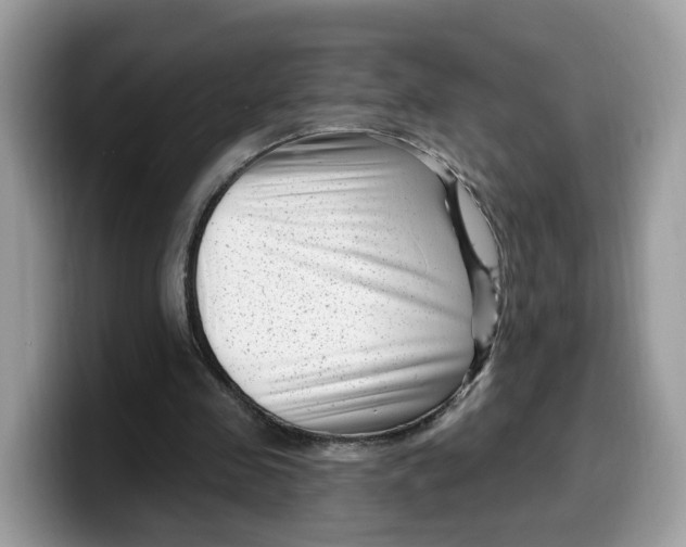 X0000099580341200805301603