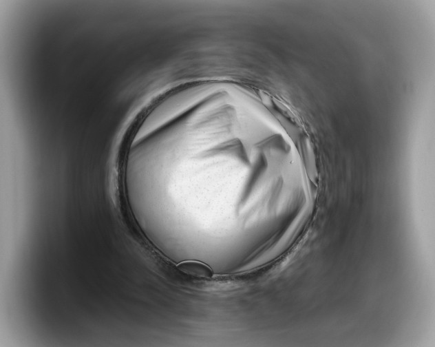 X0000099580342200805301603