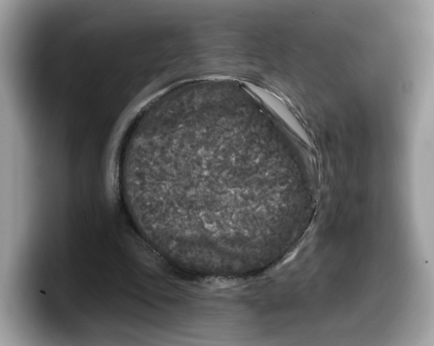 X0000099580343200805301603