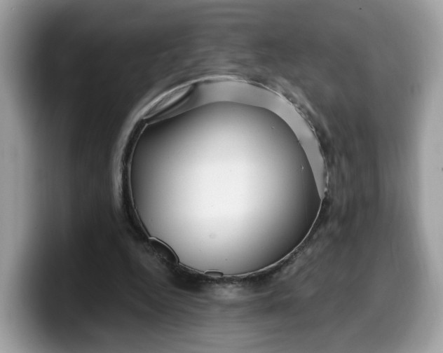 X0000099580344200805301603