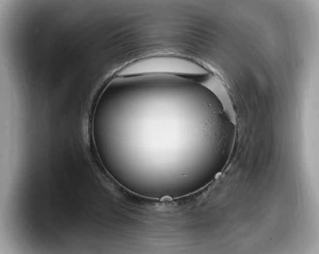 X0000099580345200805301603