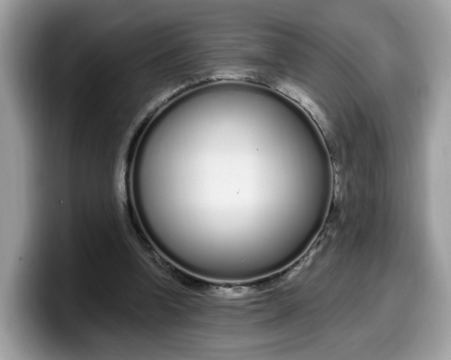 X0000099580346200805301603