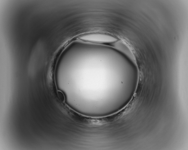 X0000099580347200805301603