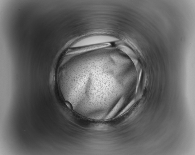 X0000099580348200805301603