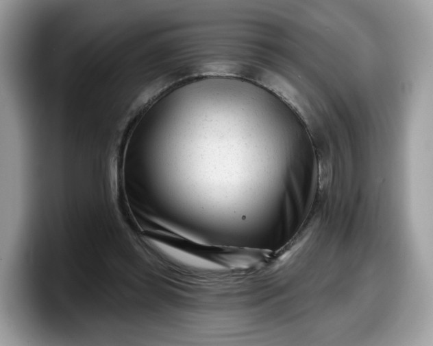 X0000099580349200805301604