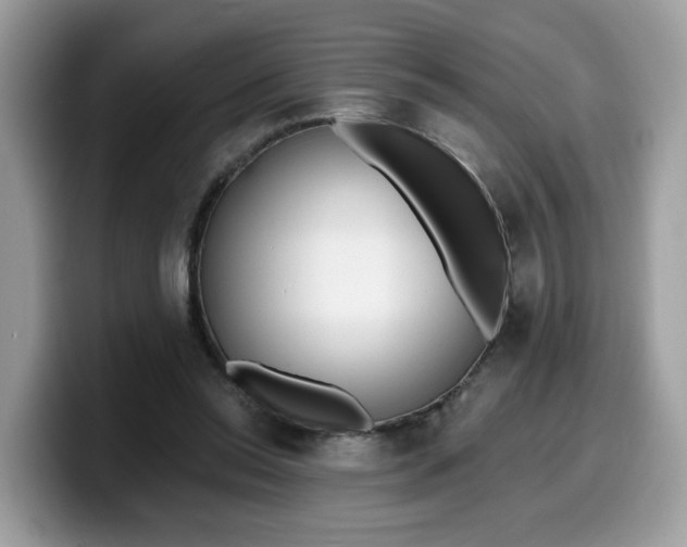 X0000099580350200805301604