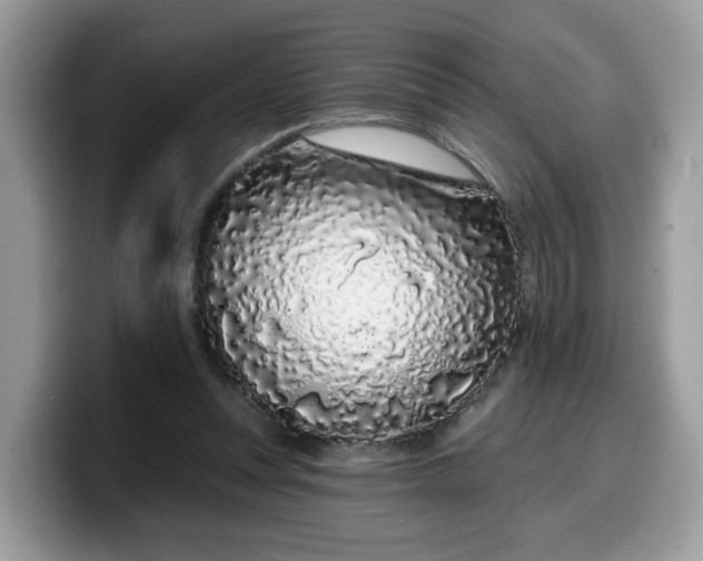 X0000099580351200805301604