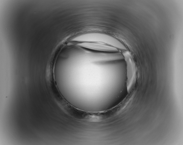 X0000099580352200805301604