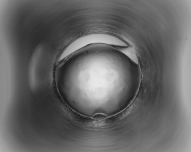 X0000099580353200805301604