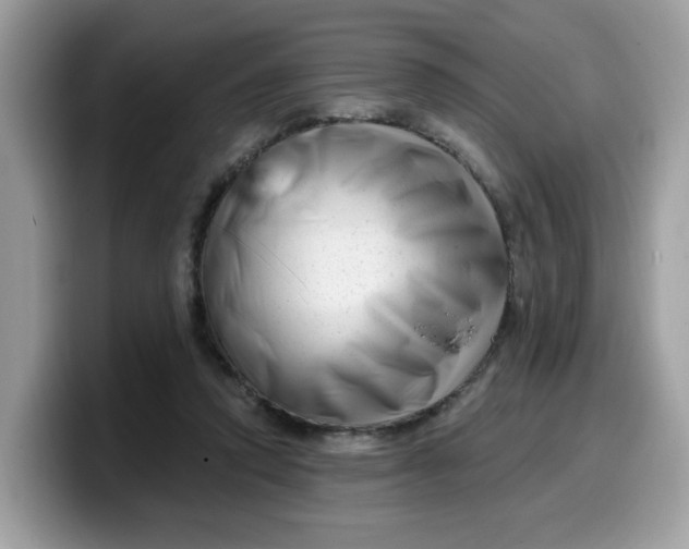 X0000099580354200805301604