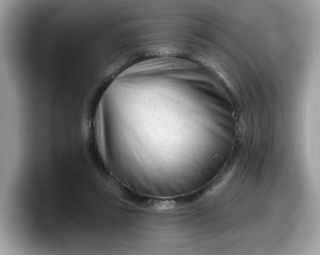 X0000099580355200805301604