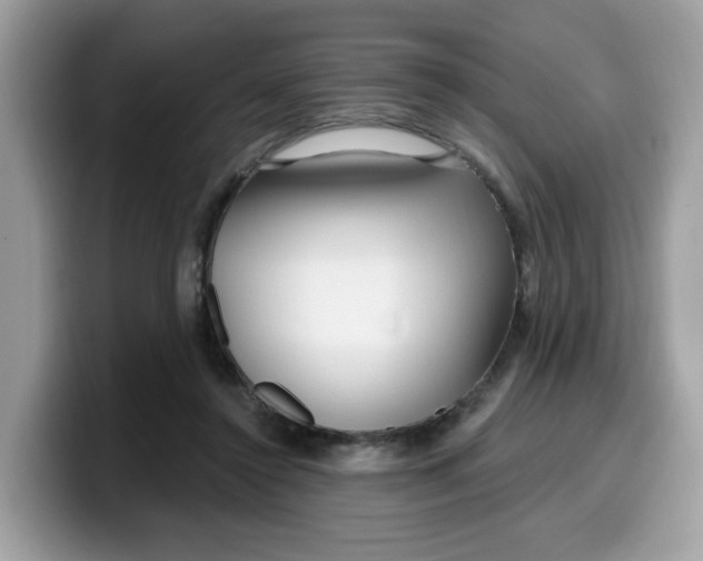 X0000099580356200805301604