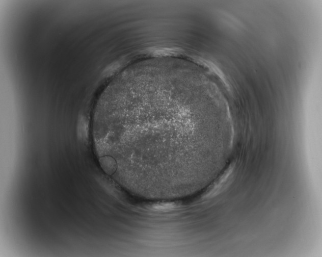 X0000099580357200805301604