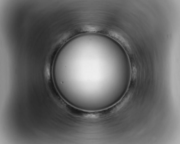 X0000099580358200805301604