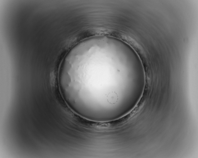 X0000099580359200805301604