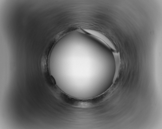 X0000099580360200805301604