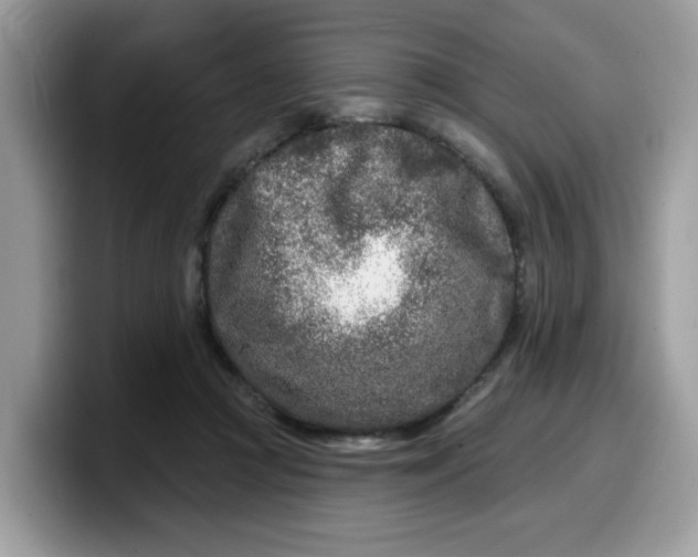 X0000099580361200805301604