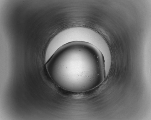 X0000099580362200805301604