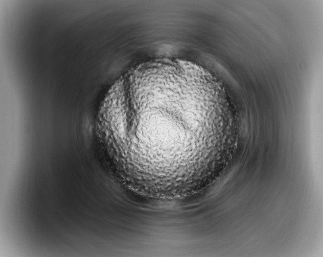 X0000099580363200805301604