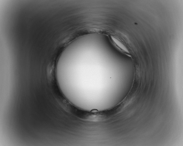 X0000099580364200805301604