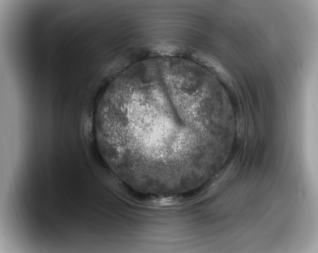 X0000099580365200805301604