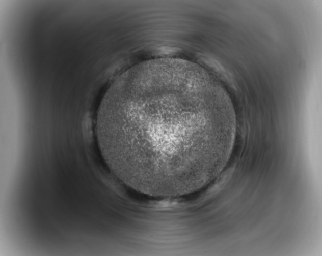 X0000099580366200805301604