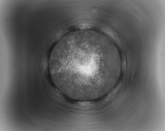 X0000099580367200805301604