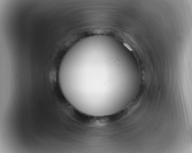 X0000099580368200805301604