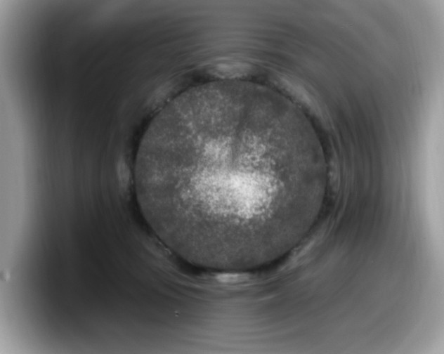 X0000099580371200805301604