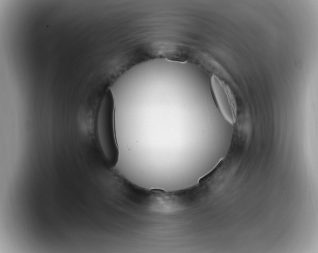 X0000099580372200805301604