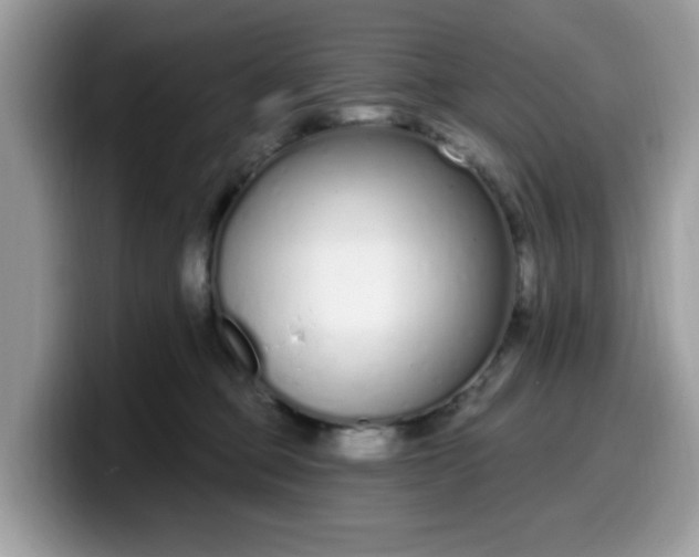 X0000099580373200805301604