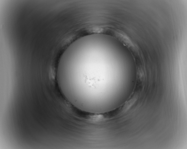 X0000099580374200805301604