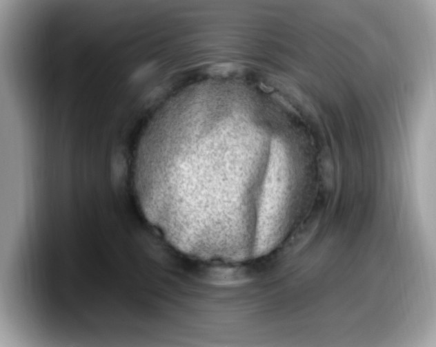 X0000099580375200805301604