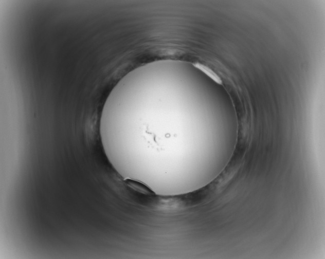 X0000099580376200805301604