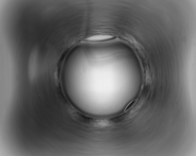 X0000099580377200805301604