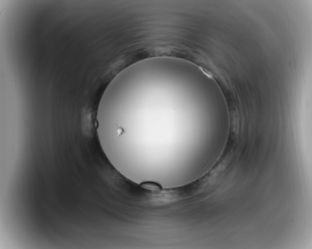 X0000099580378200805301604