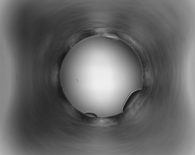 X0000099580379200805301604