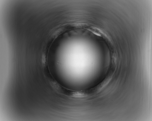 X0000099580380200805301604