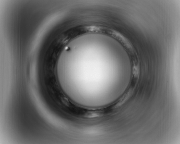 X0000099580381200805301604