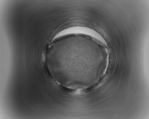 X0000099580382200805301604