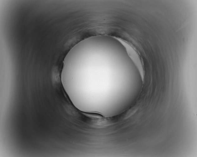 X0000099580384200805301604