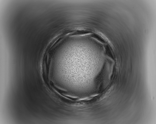 X0000099580386200805301603