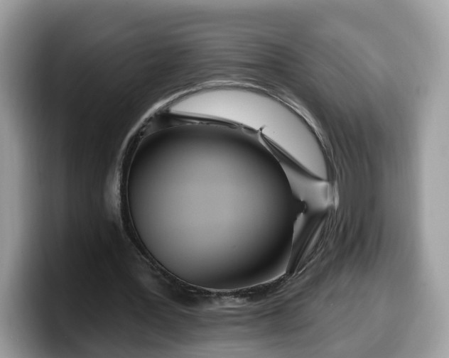 X0000099580387200805301603