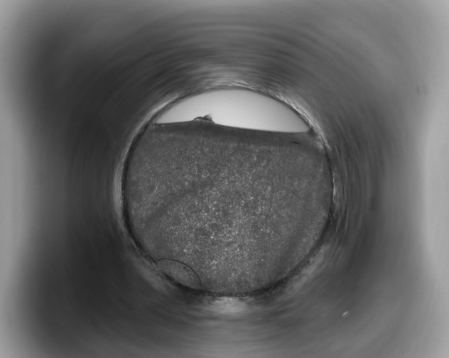 X0000099580390200805301603