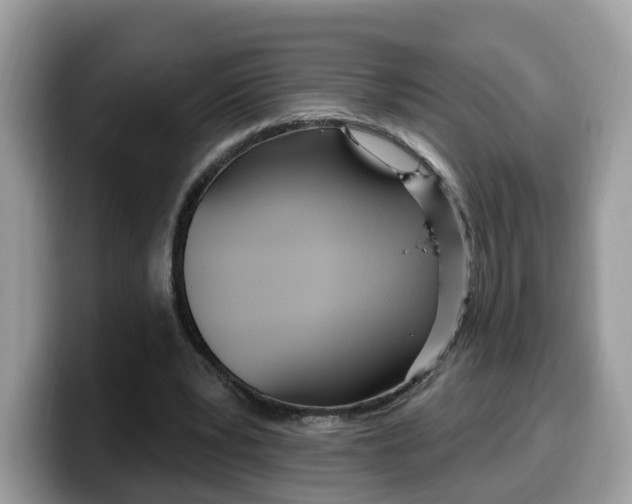 X0000099580391200805301603