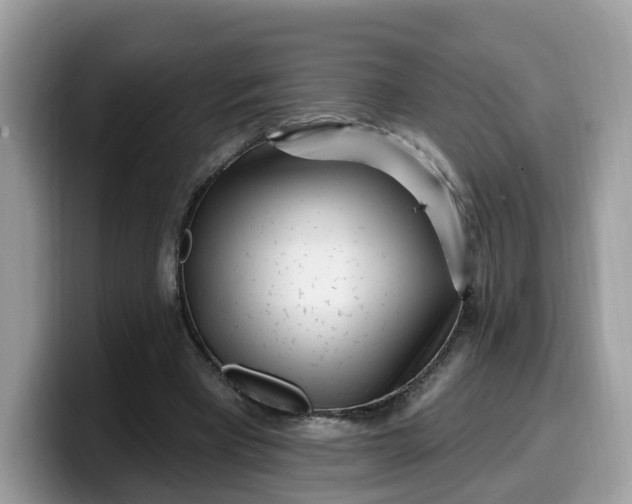 X0000099580393200805301603