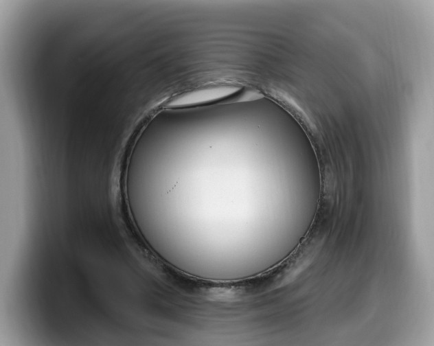 X0000099580394200805301603